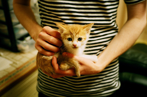 “彭尤蝶泳自由泳迎新高峰，勇破个人纪录”