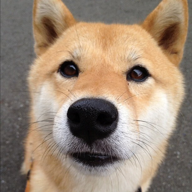 开云体育官方入口-突尼斯希望球员心理抗压能力待提升，突尼斯球星